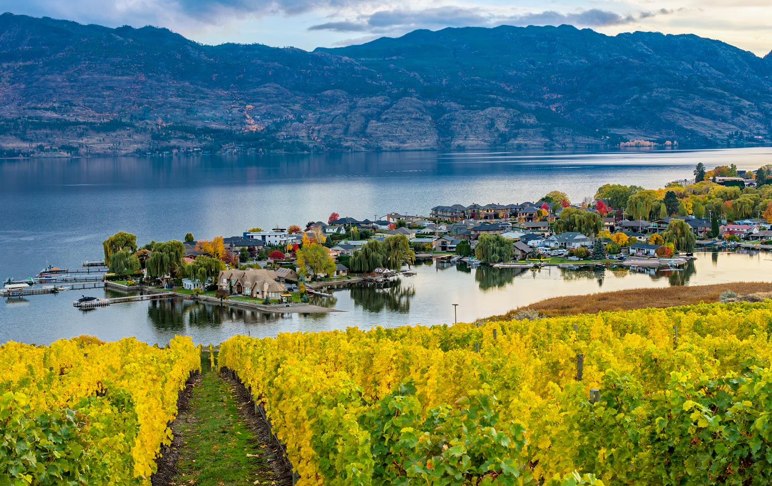 About <span class="text-secondary">Hybrid Elevator</span>